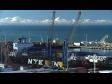 Containers Unloaded 1 TIMELAPSE 1836